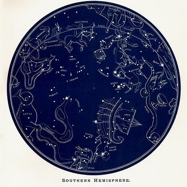 天文学】 The Old Constellation Figures（古い星座の図） 1890