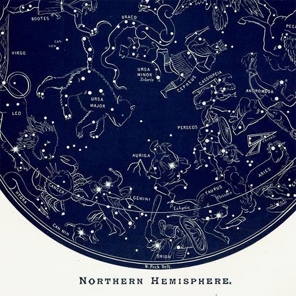 天文学】 The Old Constellation Figures（古い星座の図） 1890