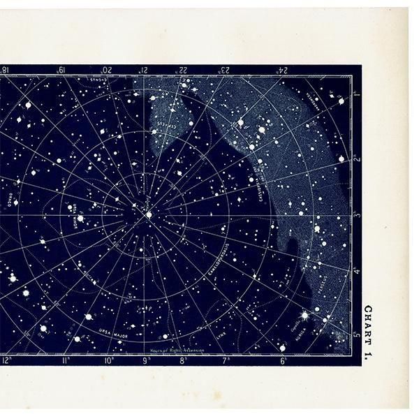ŷʸء ŷο ¡ڥ¡ե¤ʤ 1890ǯ ꥹ ƥ ץ | 0124