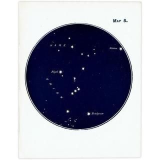 ŷʸء ꥪ ꥲ ٥ƥ륮 Map5 1920ǯ ꥹ ƥ ץ | 2005
