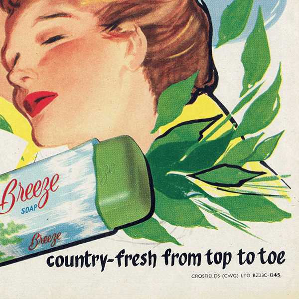 ꥹơ  и  Breeze 1953ǯ 0561<img class='new_mark_img2' src='https://img.shop-pro.jp/img/new/icons5.gif' style='border:none;display:inline;margin:0px;padding:0px;width:auto;' />