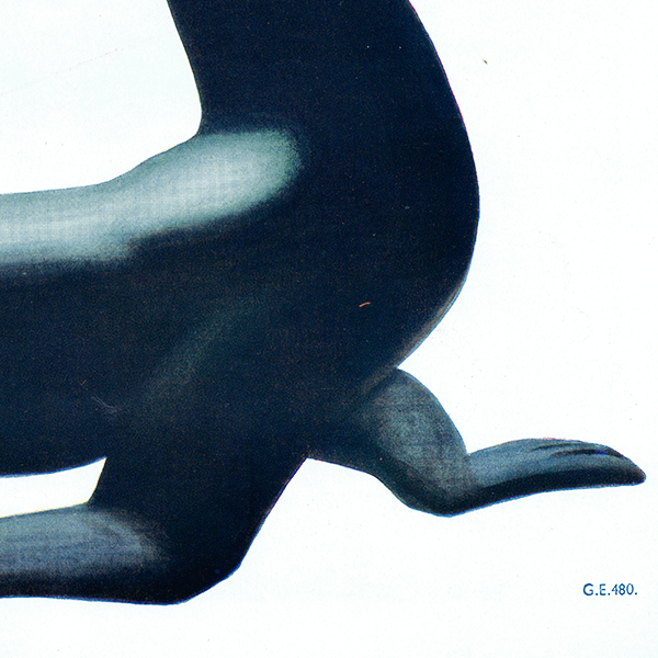 ꥹơ  Guinness ͥӡ  / 󡦥John Gilroy 1935ǯ 0553<img class='new_mark_img2' src='https://img.shop-pro.jp/img/new/icons5.gif' style='border:none;display:inline;margin:0px;padding:0px;width:auto;' />