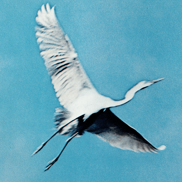 JALJapan AirlinesܹҶ 1971ǯ ե󥹤θŤʥơ 0602<img class='new_mark_img2' src='https://img.shop-pro.jp/img/new/icons5.gif' style='border:none;display:inline;margin:0px;padding:0px;width:auto;' />