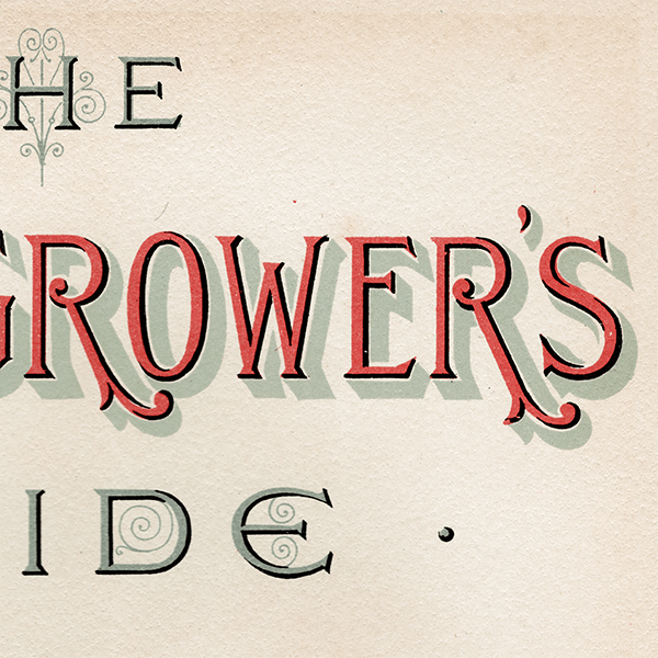 С٥꡼ ʪ ⳨ ꥹ Berberries  1891ǯ  ܥ˥륢 1006<img class='new_mark_img2' src='https://img.shop-pro.jp/img/new/icons5.gif' style='border:none;display:inline;margin:0px;padding:0px;width:auto;' />