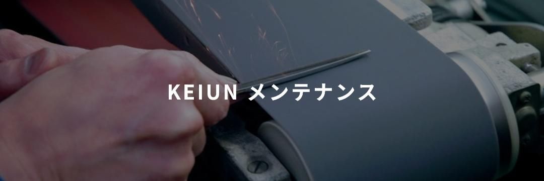 KEIUNƥʥ󥹤ˤĤ