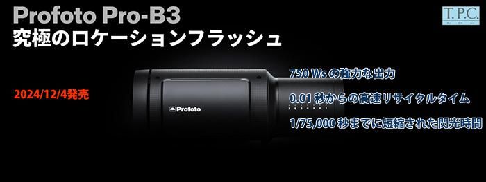 Pro-B3