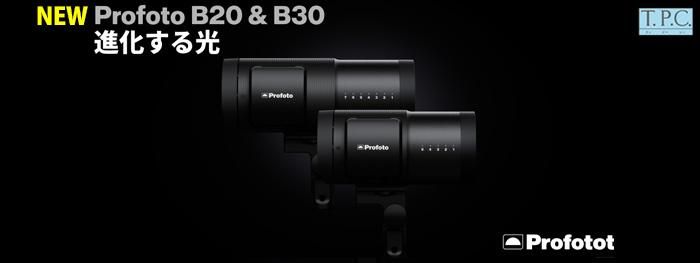 B20_B30