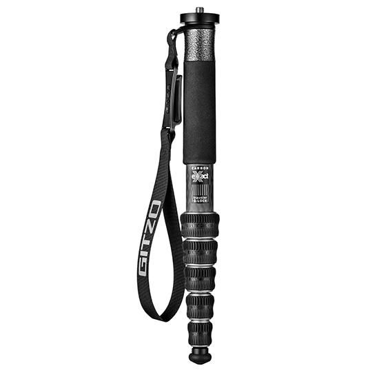 世界に2枚】遊戯王猛獣の歯初期ブースター1 字レアPSA10-GITZO