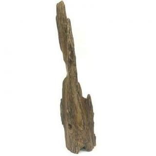 香木 インドネシア産沈香 【限定品】タニ沈香 小笹 25g