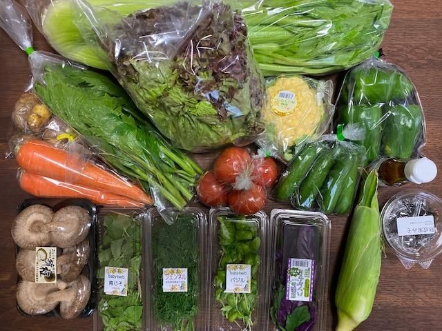 琉球玉手箱 沖縄の野菜などのセット 2月26日発送 琉球玉手箱