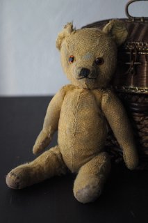 サヴァ？丸顔クマさん-antique teddy bear