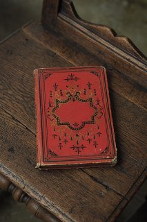 農学者パルマンティエ.赤い装丁の伝記-antique book