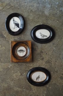 銅版印刷 佇む鳥 フナ科の魚類-antique small frame