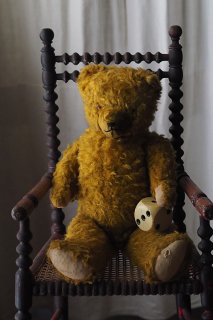 カーリーなくまさん-vintage teddy bear