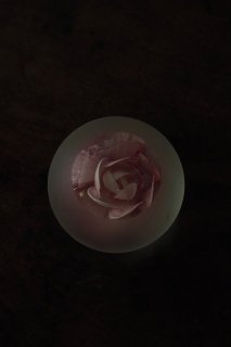 薔薇のペーパーウェイト-vintage paper weight