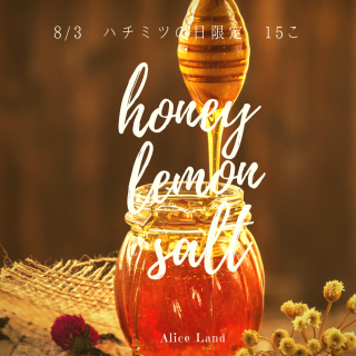 饤󥵥Сڿʡ̸ۡhoney lemon salt (200g)