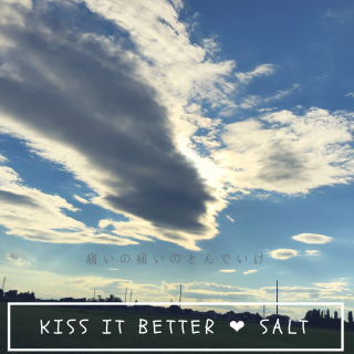 ڿʡKiss it better salt  (16g)