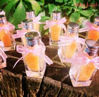 ڻߡۥߥ饯ںԥ(16g)