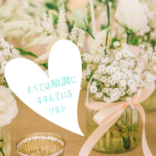 ڻߡۤ٤ƤϽĴˤǤ륽(66g)