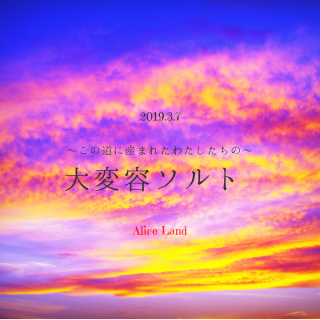 ڻߡۡƻ˻ޤ줿錄Ρƥ(230g)