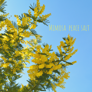 ڻߡMimosa peace salt (16g)