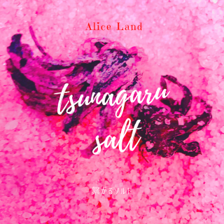 ڿʡۥץСѥȡҤ륽 (120g)