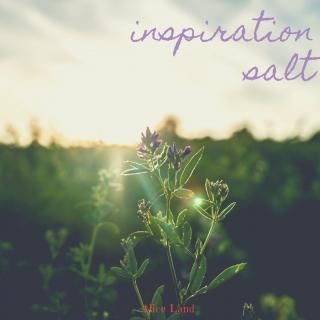 ڻߡinspiration salt (111g)