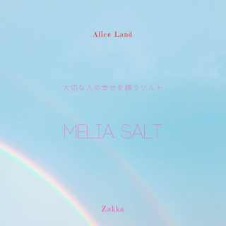 ڻߡMELIA SALTڤʿͤιꤦȡ (111g)