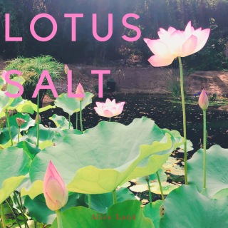 <img class='new_mark_img1' src='https://img.shop-pro.jp/img/new/icons30.gif' style='border:none;display:inline;margin:0px;padding:0px;width:auto;' />ڻߡLOTUS SALT(100g)