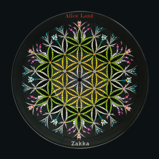 ڻߡflower of life salt (140g)