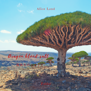 ڻߡdragon blood salt ζڼΥȡ(100g)