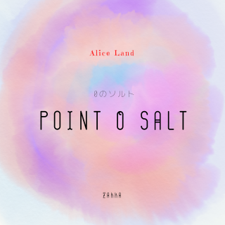 ڻߡ point 0 salt 0Υȡ  (100g)