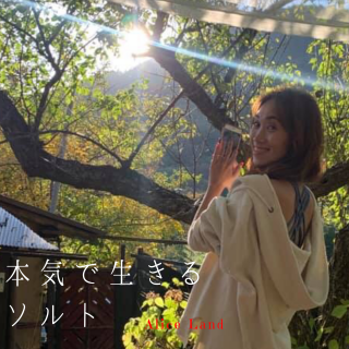 ڻߡ12/3ܵ륽  (111g)