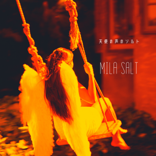 饤󥵥СڻߡMILA SALT  (111g)