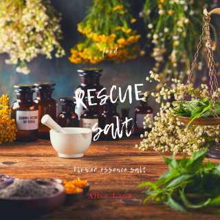 ڿʡRESCUE SALT եå󥹥ȡ(100g)