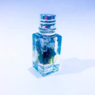 ڻߡ salt dome ο͡(15g)