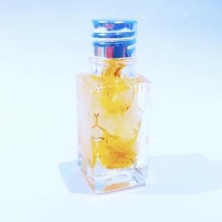 ڻߡ salt dome Ɀο͡(15g)