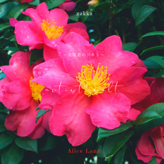 <img class='new_mark_img1' src='https://img.shop-pro.jp/img/new/icons30.gif' style='border:none;display:inline;margin:0px;padding:0px;width:auto;' />ڻߡartist salt ɽԤΥȡ(135g)