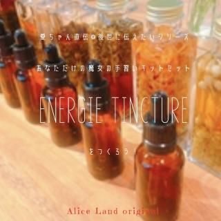 ڻߡۤʤμ꽬ͥ륮󥭤Ĥherb & salt set ( herbsalt15g)