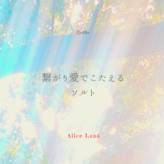 ڻߡ۷Ҥ갦Ǥ륽 (135g)