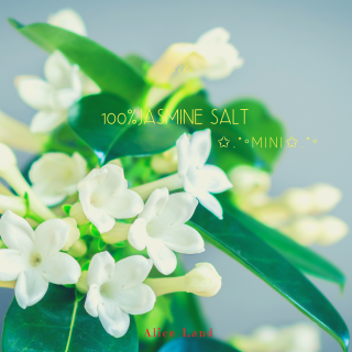 ڻߡ100% jasmine salt  mini (15g)
