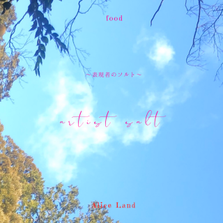 ڿʡartist salt ɽԤΥȡ (135g)