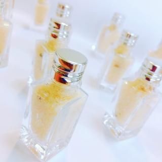 ڿʡۤޤ뤴ȥ󥽥ȥߥ˥ܥȥ (13g)