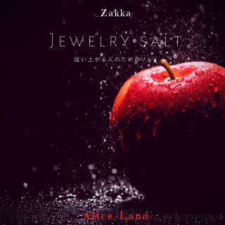 ڻߡjewelry salt 礤夬ͤΤΥȡ