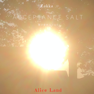 ڻߡacceptance salt Ƥ륽ȡ(140g)