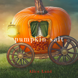 ڿʡۡ24ָpumpkin salt (145g)