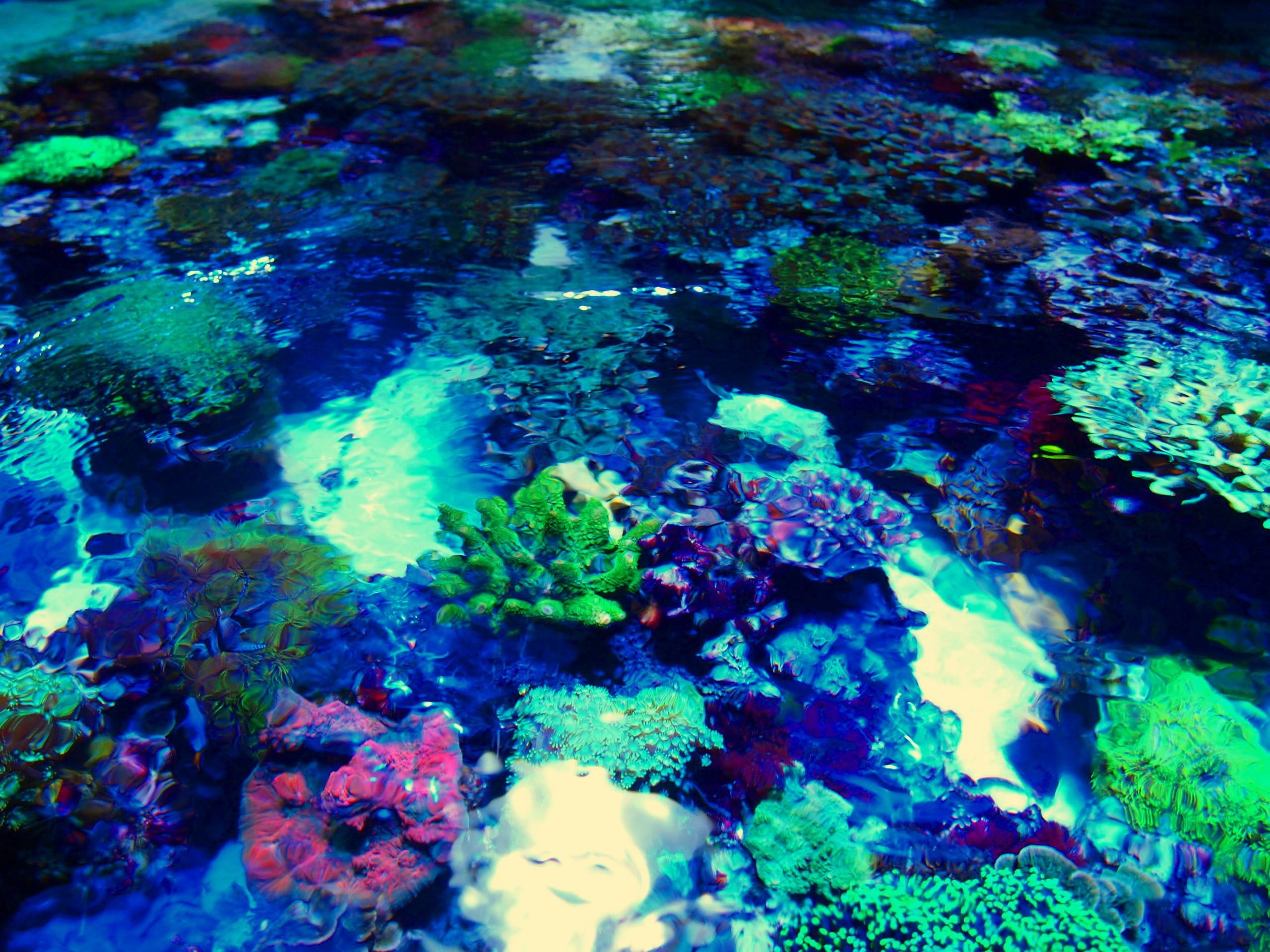 AQUA terra