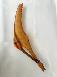 ĥХᥦ