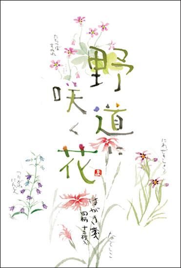 はがき箋 野道に咲く花 - 山口青旭堂オンラインショッ