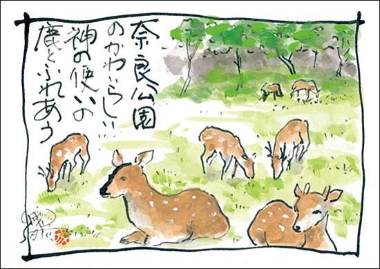 アートカード奈良 奈良公園の鹿